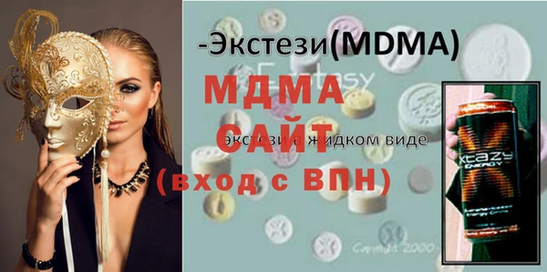 индика Алексин