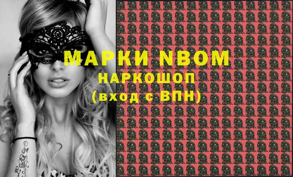 индика Алексин