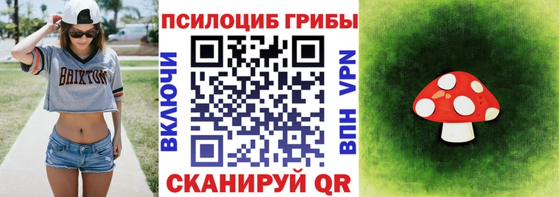 Галлюциногенные грибы GOLDEN TEACHER  Алексеевка 